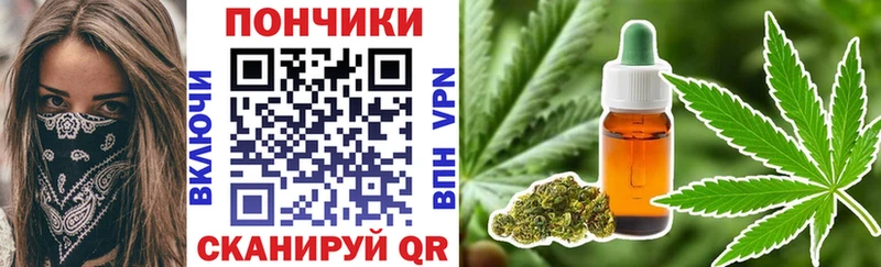 продажа наркотиков  Каменногорск  Канабис индика 